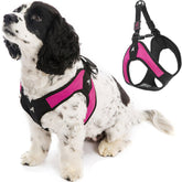 Gooby Escape Free Easy Fit Harness back-view highlights escape-resistant design for small dogs