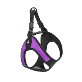 Gooby Escape Free Easy Fit Harness purple on dog during a secure on-leash walk