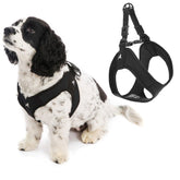 Gooby Escape Free Harness front view for small dogs showing secure fit