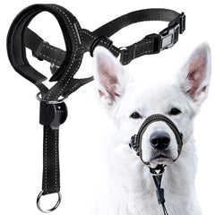 GoodBoy head halter with safety strap on dog for controlled walking.