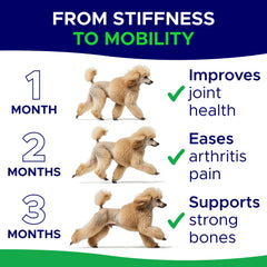 GoodGrowlies glucosamine dog chews served in a dish for daily use.