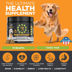 Googipet omega rich chew promotes healthy skin and shiny coat