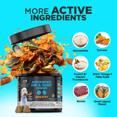 Googipet Premium chews with green-lipped mussels showcasing natural joint care