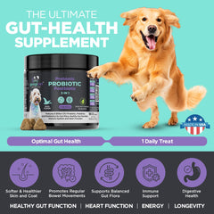 Googipet Probiotics digestive-enzymes aid meals and nutrient breakdown