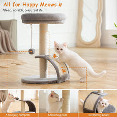 Goozii cat tree floor ramp enables easy access for kittens.