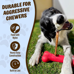 GoSports Chew Champ clamps the end of a bully stick to help prevent last inch swallowing.