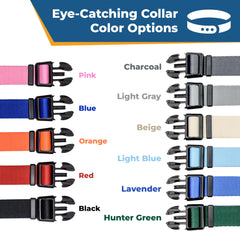 GoTags custom dog ID collar highlights name and phone for fast owner contact