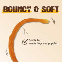 Gootoe premium-turkey-tendon 1lb training chew ideal for rewards