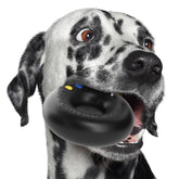 Goughnuts aggressive-chewer dog toy for powerful chewers.