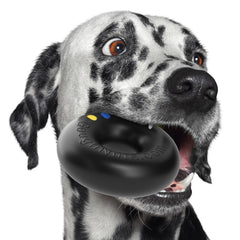 Goughnuts aggressive-chewer dog toy for powerful chewers.