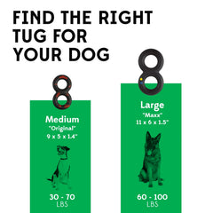 Goughnuts indestructible dog toy for pit bulls, built to endure.