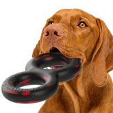 Goughnuts pull toy for aggressive chewers, durable and long-lasting.