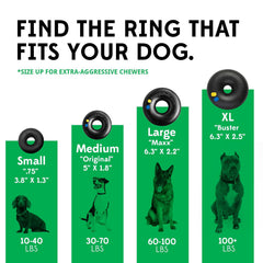 Goughnuts 5-inch ring for medium dogs offers a tough chew challenge.
