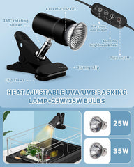 GOZILLA compact design interior, multi-area setup for swimming and climbing.