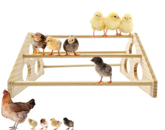 GPGCGSGP chick perch wood brooder showing natural roosting setup for comfort