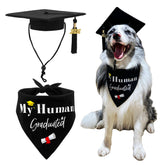 GraduatePro 2026 dog graduation cap for festive milestone photos