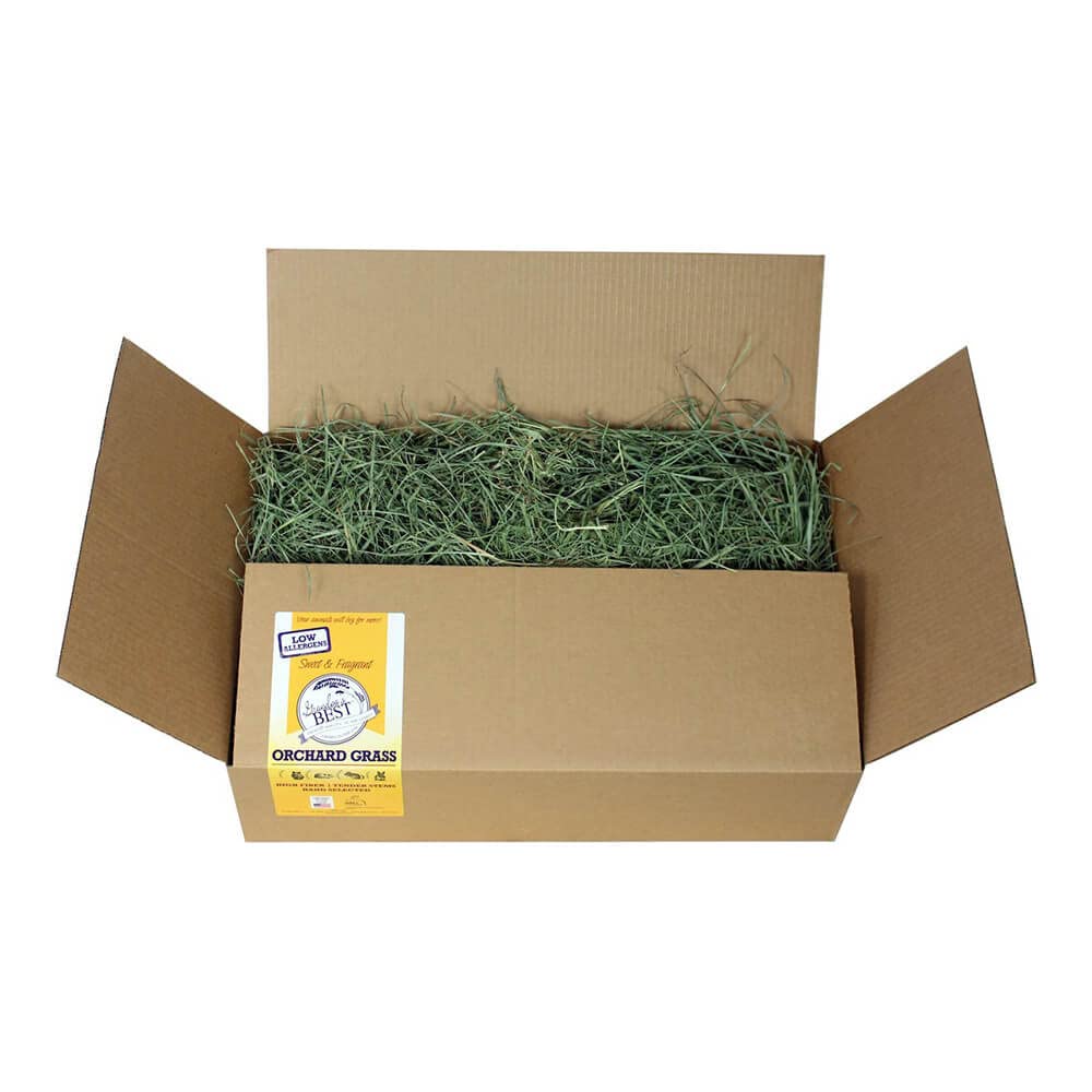 Grandpa's Best Orchard Grass Hay in a 20lb loose box offers high fiber for small pets