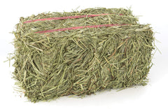 Grandpa's Best Timothy Hay Bale dense green fiber close-up supports nibbling.