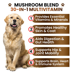 Grateful Pawz seven-mushroom formula dog chews for vitality.