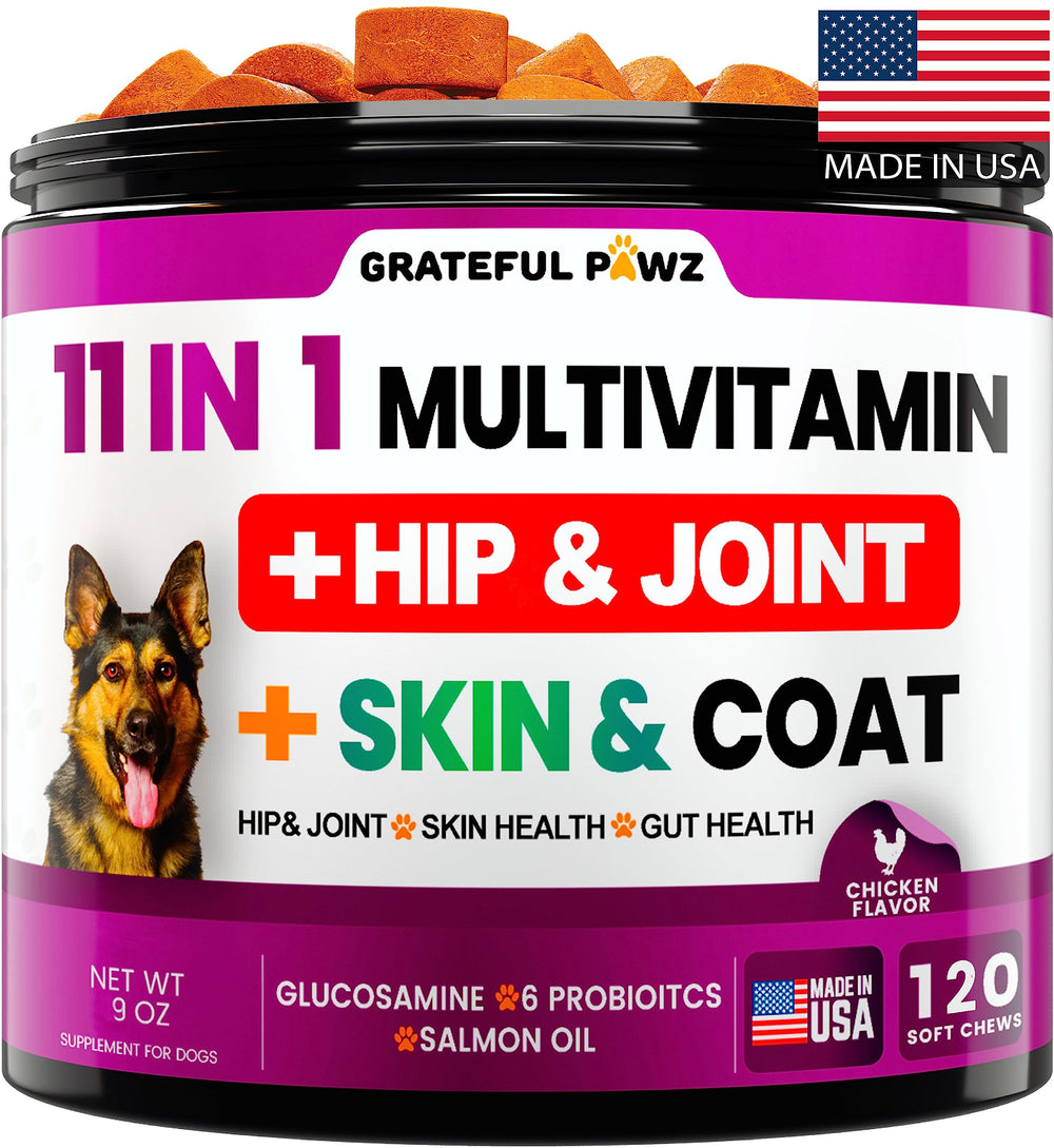 Grateful Pawz dog multivitamin chewable tube supports overall wellness and mobility