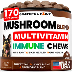 Grateful Pawz turkey-tail dog supplement bottle for immune support.