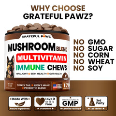 Grateful Pawz USA-made vet-formulated dog supplement bottle.