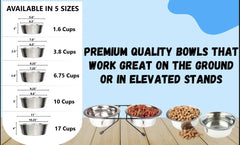 Greendale 2Pack bowls with dry kibble use, stainless steel surface for meals.