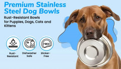 Greendale rust-resistant dog bowls showcase robust construction for daily use
