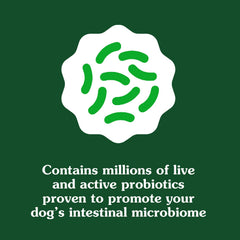 Greenies Biotic Blend probiotics chews close-up.