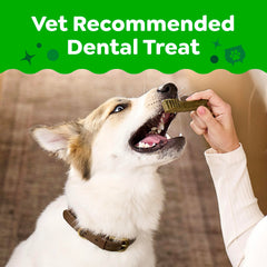 Greenies dental treat texture close-up; designed to clean down to the gumline.