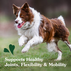 Two-pack packaging of Greenies hip and joint chews for easy daily use.