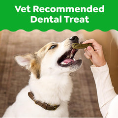 Greenies Petite Original treats close-up showcases texture for daily dental care in small dogs.