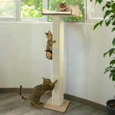 GreenPetopia cat window perch with sisal post for scratching and sunbathing.