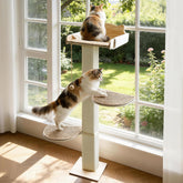 GreenPetopia solid wood window perch with large perch for comfortable cat lounging.