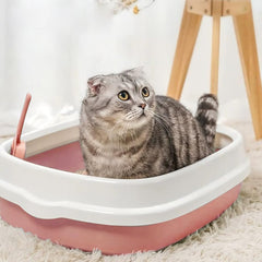Automatic dual bowl from GRETJOB kit for feeding and watering