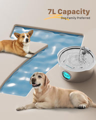 GROOKPET pet drinking water flow demonstrates natural waterfall-like motion