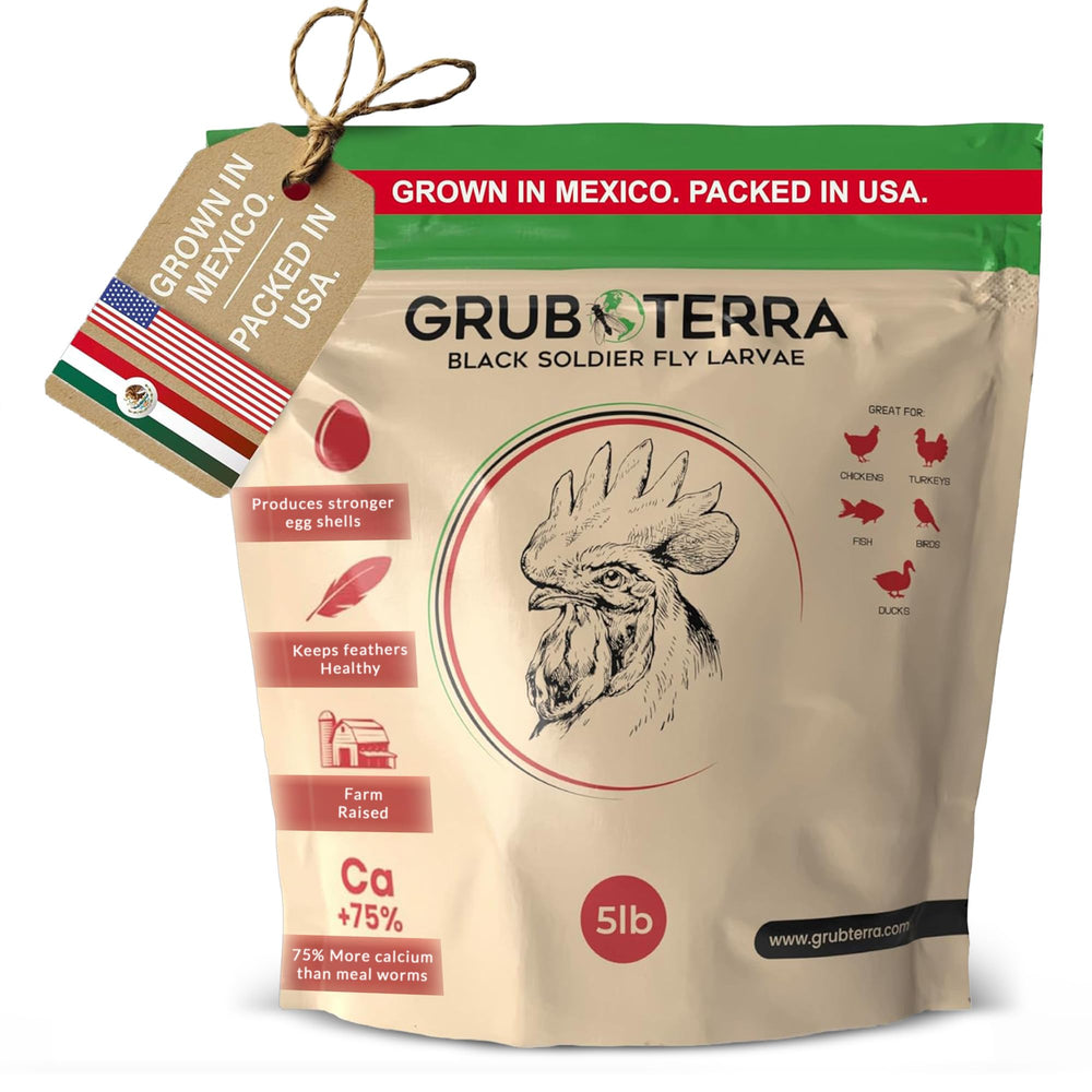 GrubTerra BSFL dried treat for chickens provides a protein boost for backyard flocks.
