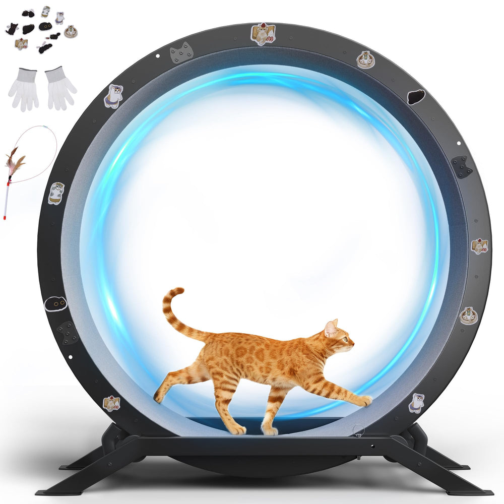 GTRACING Cat Wheels with 40-inch diameter for spacious indoor exercise.