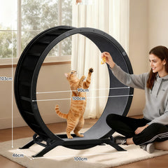GTRACING Ultra-quiet scroll wheel keeps nighttime play peaceful.