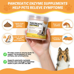 Guanshiya enzymes aiding dog while eating a meal