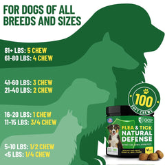 Guardian's Choice B vitamins illustration, supports daily vitality.