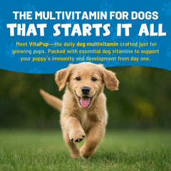 Guardian's Choice VitaPup bone growth support shown on a growing puppy.