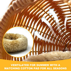 Gucvdnple winter-ready nest creates warm comfort.