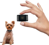 Guidoy tiniest bark collar with a compact 1-6 inch design for small dogs.