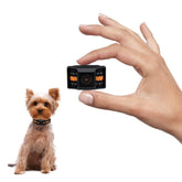 Guidoy tiniest bark collar for small dogs with ultra compact design for daily wear.