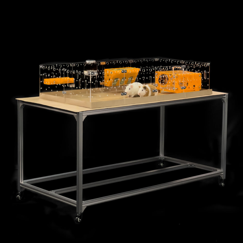 GuineaLoft Model-A acrylic cage panel view for easy bonding and supervision.