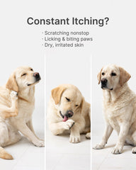 Guluprime paw licking support helps reduce paw licking in dogs