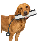 GUNNER dog training bumper with flasher for high-visibility drills.