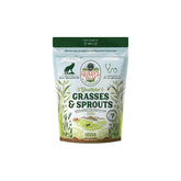 Gussy's Gut Youthful Grasses & Sprouts tub showing fermented greens for canine digestion