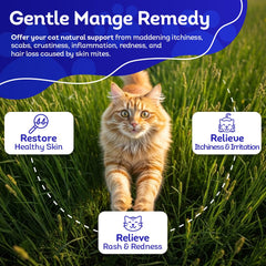 HA4E organic minerals ingredient label emphasizes clean, safe ingredients.